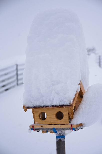 Casa de pássaros no inverno com um boné de neve nevado no caos da neve - Foto, Imagem