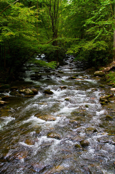 Ponořte se do klidu svěžího lesa jako pulzující říční kaskády přes skály, vytvářející uklidňující symfonii přírody klidu v Gatlinburgu, Tennessee. - Fotografie, Obrázek