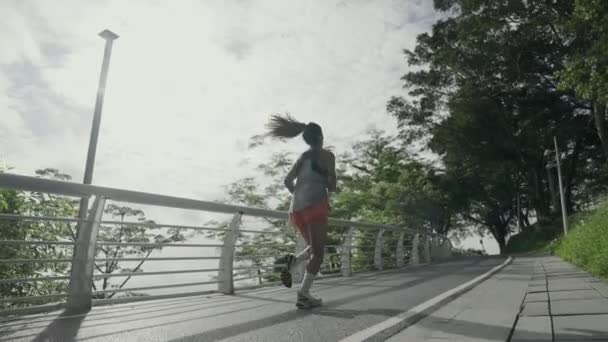 vista posteriore di giovane asiatico uomo jogging running all'aperto nel parco - Filmati, video