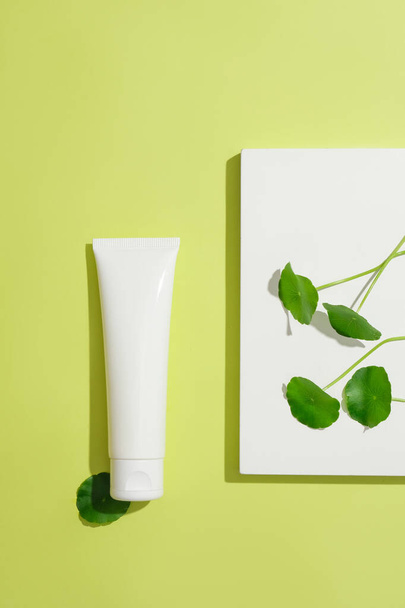 Close-up of an unbranded cosmetic tube, pennywort leaves on a white platform. Branding with blank labels. Cosmetic mockup for advertising. Top view. - Photo, Image