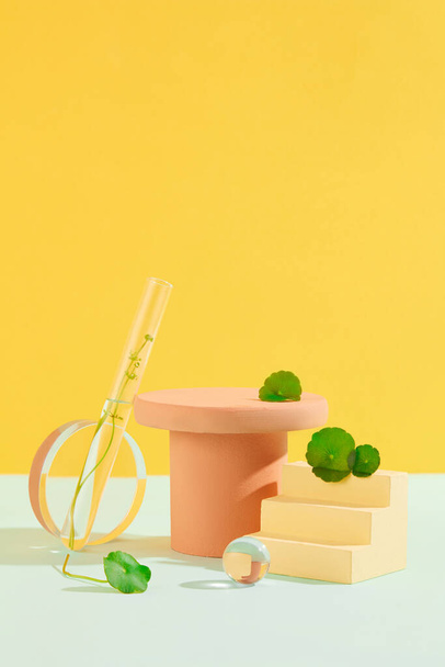 Fresh pennywort leaves adorn wooden platforms amid glassware on a yellow-white backdrop, creating a sophisticated setting to showcase cosmetics enriched with Centella extract. - Photo, Image
