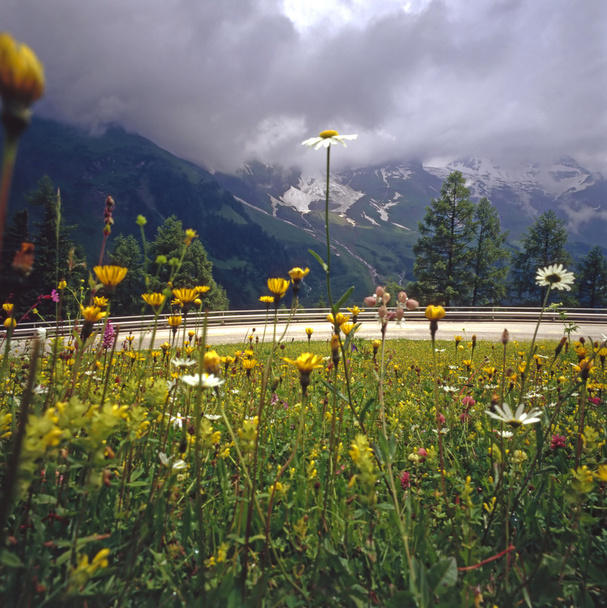  Itävallan Alpit
 - Valokuva, kuva
