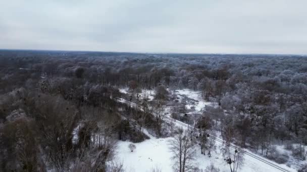 Inverno Neve ghiaccio bosco nuvoloso cielo Germania. sorvolo drone di sorvolo 4k drone filmato - Filmati, video