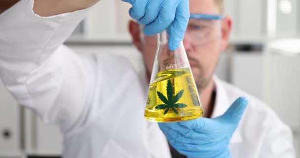 A férfi vegyész a marihuána olajat vizsgálja a laborban. Tetrahidrokannabinol vagy hasis olaj fogalma - Felvétel, videó