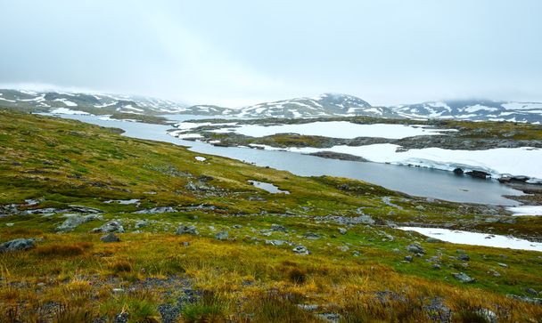 Noth Norway mountain  spring valley - Foto, imagen