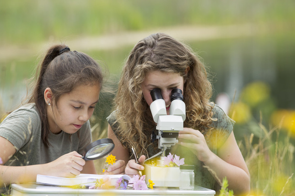 Красивые молодые девушки, занимающиеся наукой на открытом воздухе, исследуют Нату
 - Фото, изображение