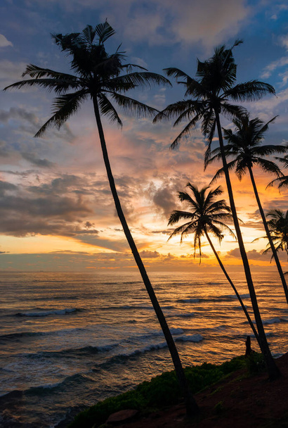 Hint Okyanusu kıyısında gün batımı Sri Lanka adasında, Mirissa. - Fotoğraf, Görsel
