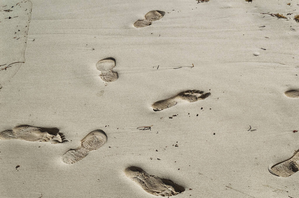 Impronte nella sabbia della spiaggia durante il giorno d'estate. - Foto, immagini