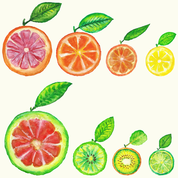 Conjunto de citrinos aquarela com folhas
 - Vetor, Imagem