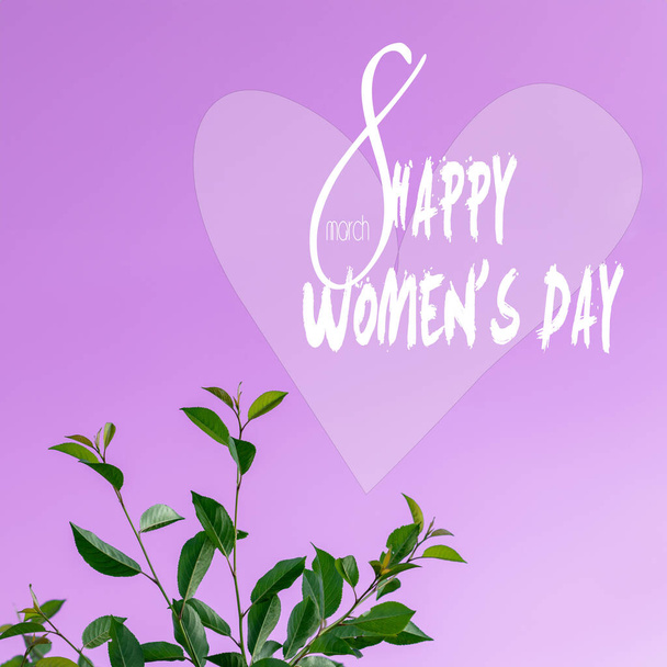 8. března Happy Valentines Day nebo Happy Womens Day. Zelené listy na větvi na purpurovém pozadí. Šťastný Valentýn text na obrázku.  - Fotografie, Obrázek