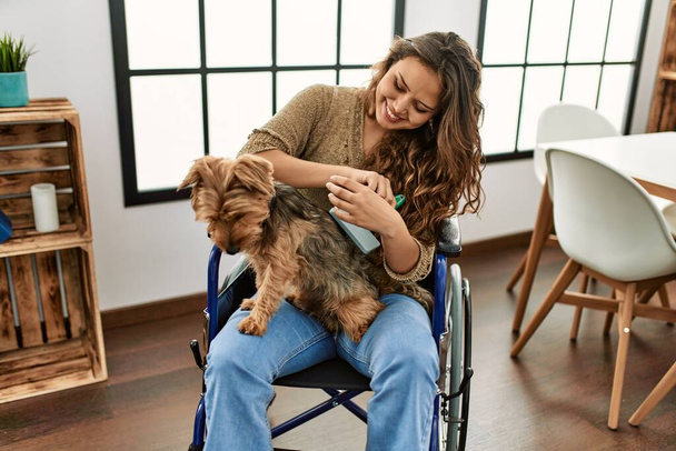 Jeune belle femme hispanique peigner les cheveux de chien assis sur fauteuil roulant à la maison - Photo, image