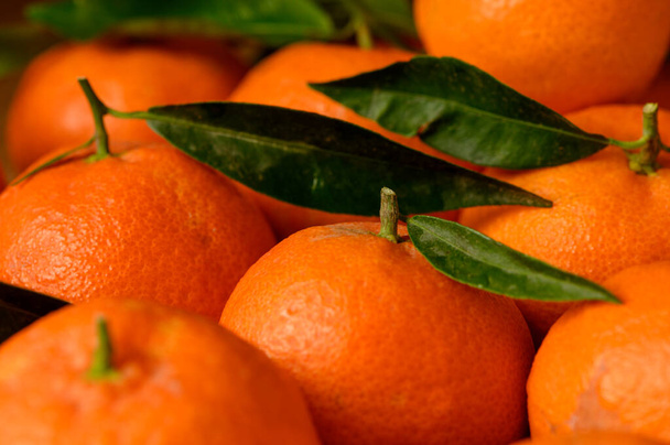 mandarines juteuses fraîches sur une table en bois 4 - Photo, image
