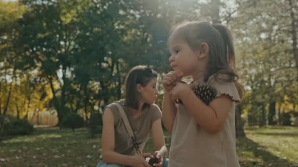 幼い娘と母親は芝生で公園で遊び,コムを集めている. 子供と一緒に歩いている幸せな母親. - 映像、動画