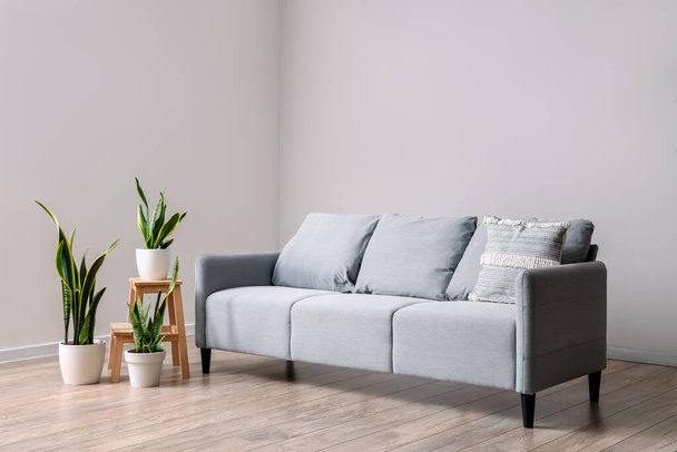 Graues Sofa mit Pflanzen im Wohnzimmer - Foto, Bild