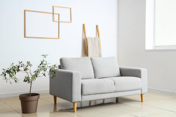 Sisätilojen valo olohuone harmaa sohva ja kasvi - Valokuva, kuva
