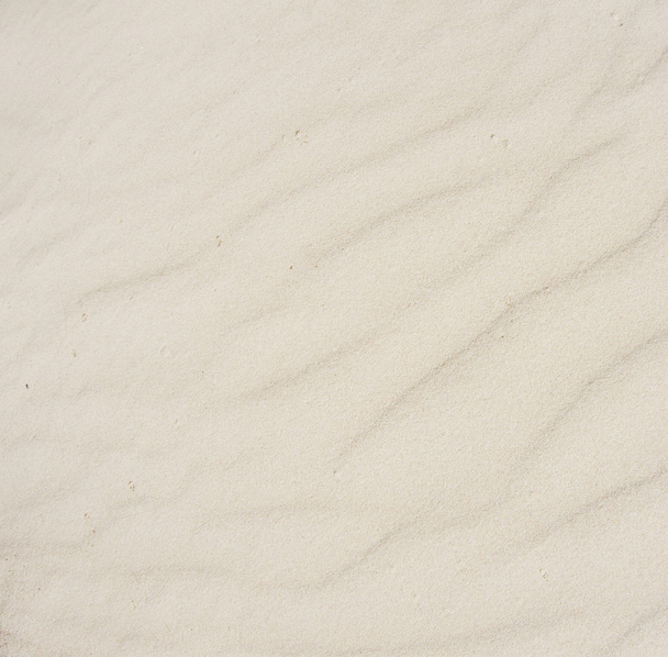 Coral sand background - Φωτογραφία, εικόνα