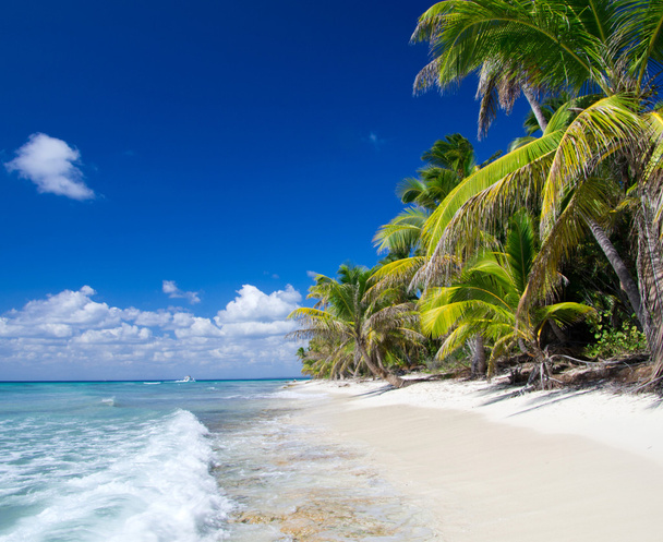 playa y mar tropical - Foto, Imagen