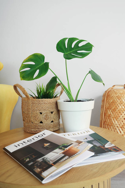 Πράσινα φυτά με περιοδικά στο τραπέζι στο δωμάτιο - Φωτογραφία, εικόνα
