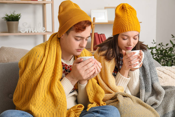 Young couple drinking hot tea at home on winter day - Photo, Image