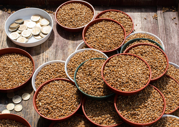 Ziarna pszenicy pełnoziarnistej w misce na sprzedaż do rozlania w celu karmienia ptaków - Zdjęcie, obraz