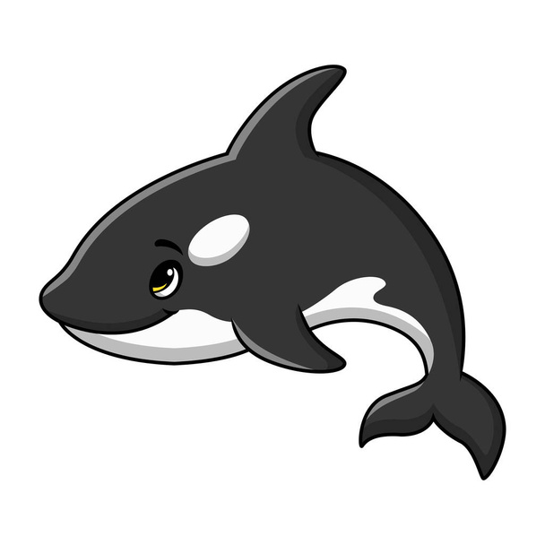 Vektor illusztrációja Aranyos gyilkos bálna rajzfilm fehér alapon - Vektor, kép