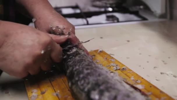 žena odstranění váhy z luce ryby s malým nožem na dřevěné desce v kuchyni. - Záběry, video
