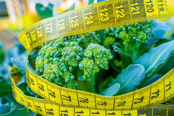 Křoví rostoucí brokolice je obaleno žlutou měřicí páskou. Měřicí páska pro pas a brokolici na plantáži s rostoucí zeleninou - Fotografie, Obrázek