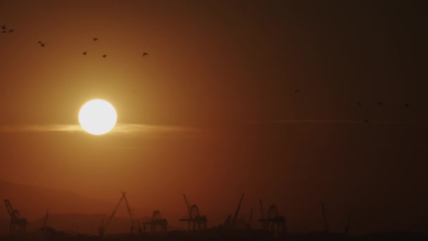 Evening falls as birds fly past the silhouetted cranes at the industrial port. - Footage, Video