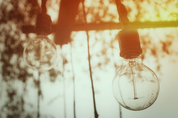 Vintage light bulb - Photo, Image