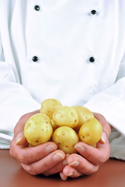Жінка-кухарка тримає в руці пару молодих картоплин
 - Фото, зображення