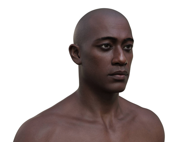 Afrikalı bir adamın portresini gösteren 3 boyutlu fotorealistik bir çizim, derisinin, yüzünün ve vücut anatomisinin karmaşık detaylarını gözler önüne seriyor.. - Fotoğraf, Görsel
