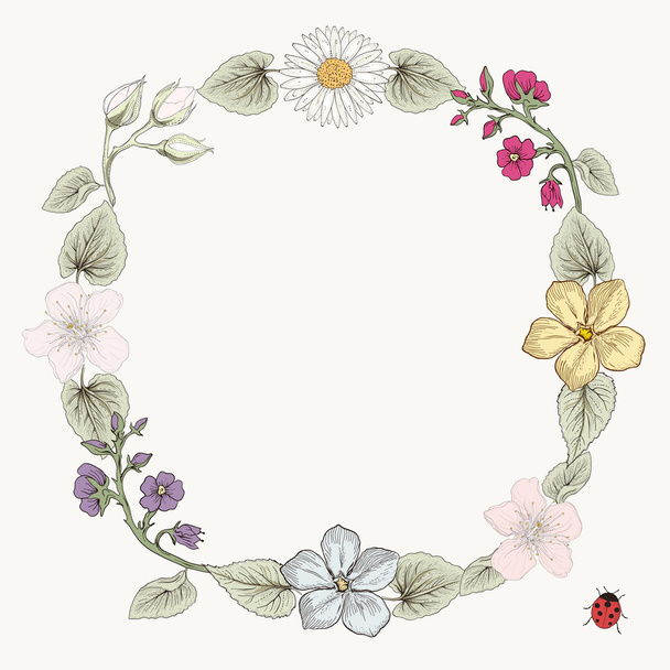 Cadre floral style gravure vintage
 - Vecteur, image