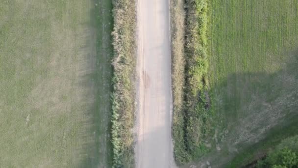 Estas imágenes tomadas desde arriba muestran una simple intersección de caminos de tierra en medio de un entorno pastoral. Los dos caminos de cruce, bordeados por la exuberante vegetación de campos y árboles, sugieren opciones y la tranquilidad - Metraje, vídeo