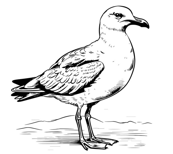 Martı kuş hayvan çizimi kabartma vektör çizimi. Tahta sitili taklit. Elle çizilmiş görüntü. Martı kuşu, vektör çizimi - Vektör, Görsel