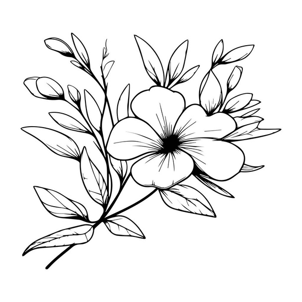 vektorové ručně kreslené ilustrace květin a listů, Periwinkle vektorové umění a monochromatické květinové ilustrace. kresba ručně kreslené kresby tužkou, větev botanické kolekce jednoduchost, umělecké, omalovánky pro děti - Vektor, obrázek
