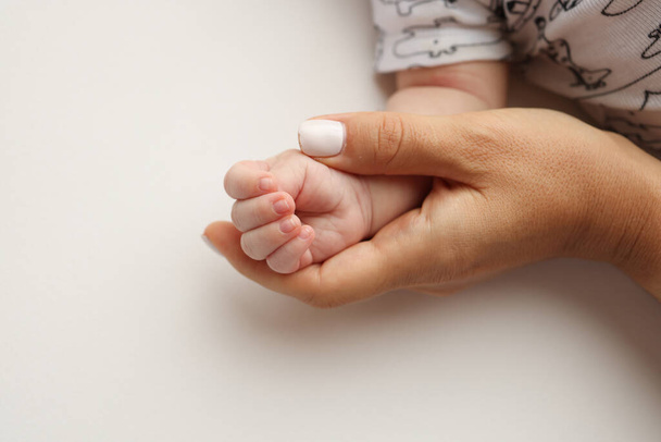 Vanhempien kädet pitävät vastasyntyneen lapsen sormia. Äidin ja isän lähikuva pitää vastasyntyneen lapsen nyrkkiä. Perheen terveys ja sairaanhoito. Ammattimainen valokuva valkoisella taustalla.  - Valokuva, kuva