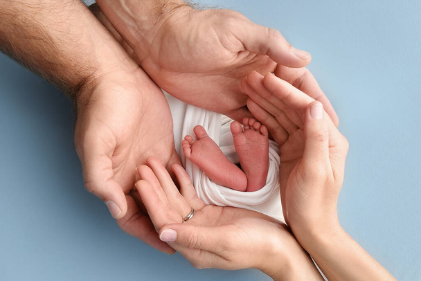 As palmas das mãos dos pais, pai e mãe seguram as pernas, pés de um bebê recém-nascido em um invólucro branco em um fundo azul. Pés, calcanhares e dedos dos pés de um recém-nascido close-up. Foto macro profissional. - Foto, Imagem