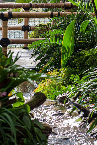 Здесь прекрасно запечатлена спокойная сцена в саду, где небольшой ручей извивается по пышной зелени. Солнечный свет проходит сквозь листву, отражаясь от поверхности воды и освещая - Фото, изображение
