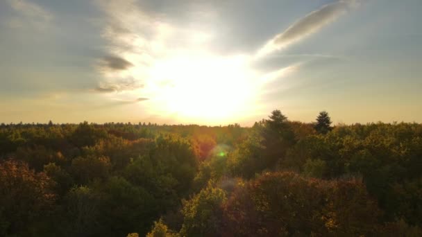 Αεροφωτογραφία του κατάφυτου δάσους με πολύχρωμες στέγες το φθινόπωρο δάση το ηλιόλουστο βράδυ. Τοπίο της φθινοπωρινής άγριας φύσης στο ηλιοβασίλεμα. - Πλάνα, βίντεο