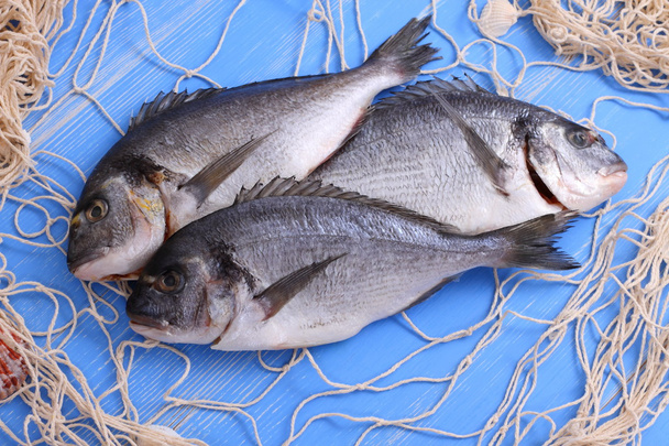 Three bream in fishing net on blue wooden background - Photo, Image