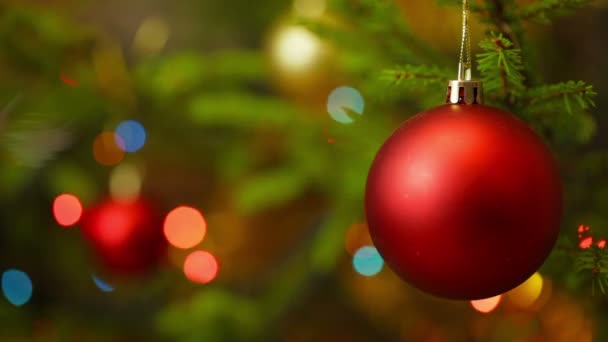 Fête de Noël fond de vacances - Boule de décoration d'arbre de Noël sur arbre de Noël décoré avec des lumières floues déconcentrées bokeh et copyspace - Séquence, vidéo