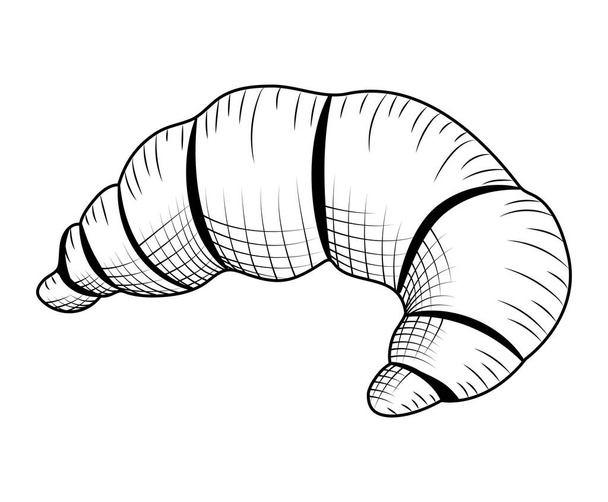 bread croissant drawn illustration design - Vector, Image