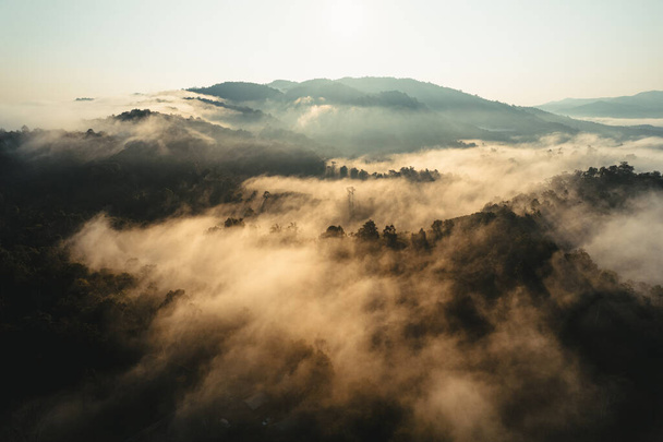 Ködös napfelkelte a hegyekben nyáron, napkelte és reggeli köd az erdőben - Fotó, kép