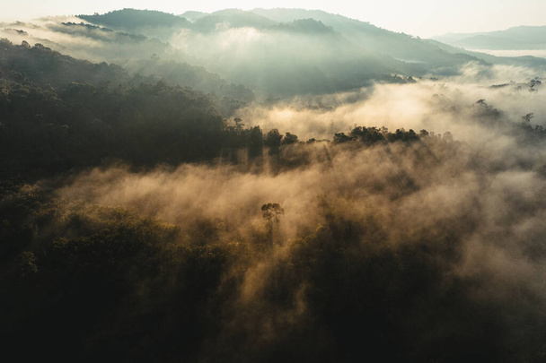 Amanecer brumoso en las montañas en verano, Amanecer y niebla matutina en el bosque - Foto, Imagen