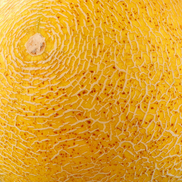 Ripe golden Galia melon as background - Фото, изображение