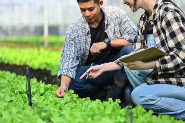 Jóvenes agricultores sonrientes examinando vegetales orgánicos en invernadero. Concepto agronegocio. - Foto, Imagen
