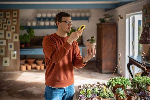 Selection of houseplant in private flower shop. Concentrated man making photo with smartphone, looking for potted plant in mobile application, reading information about care, characteristics, growth - Photo, Image