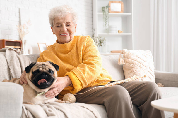 Senioren vrouw met pug hond zittend op de bank thuis - Foto, afbeelding