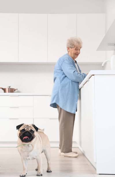 Ηλικιωμένη γυναίκα με σκύλο pug πλύσιμο πιάτων στην κουζίνα - Φωτογραφία, εικόνα