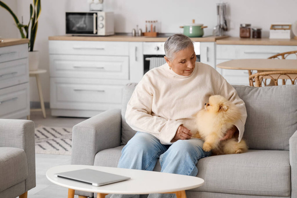 Femme âgée avec chien poméranien assis sur le canapé à la maison - Photo, image
